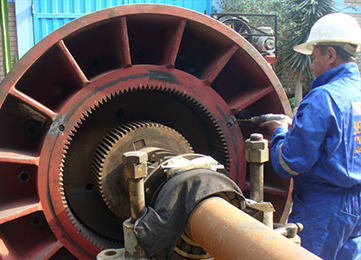 Our Services